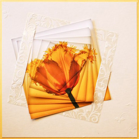 christelcard